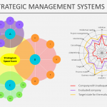 Strategic Management Audit Course for Business Systems Professionals